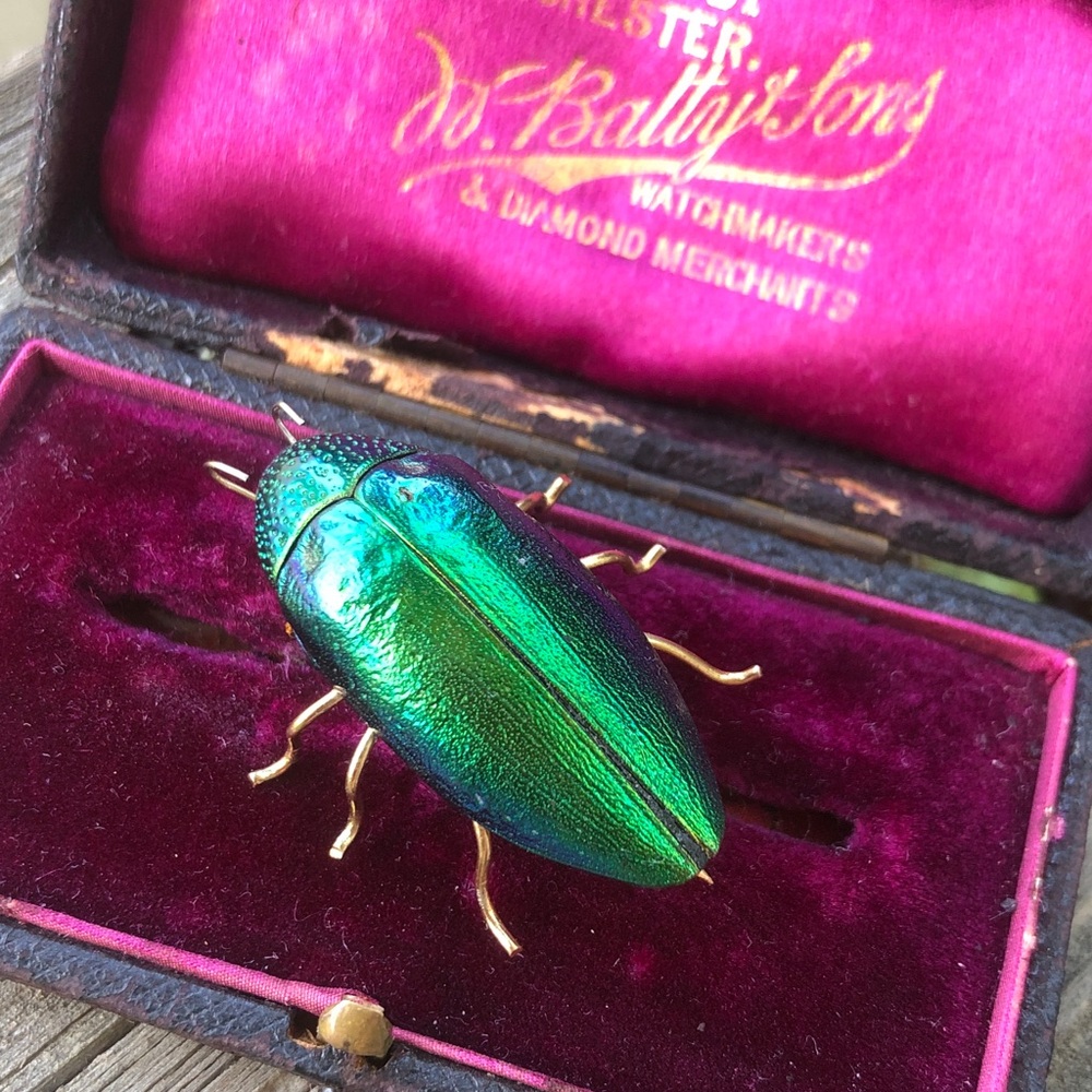 Victorian beetle brooch